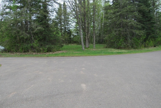 4054 Aspen Rd, Moose Lake, MN 55767 - view of asphalt road with a view of trees