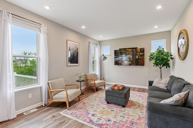1049 Fabel Ln, Waconia, MN 55387 - living room featuring baseboards, wood finished floors, and recessed lighting