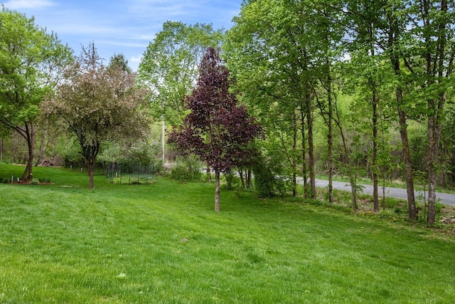 W1618 850th Ave, Spring Valley, WI 54767 - view of grassy yard