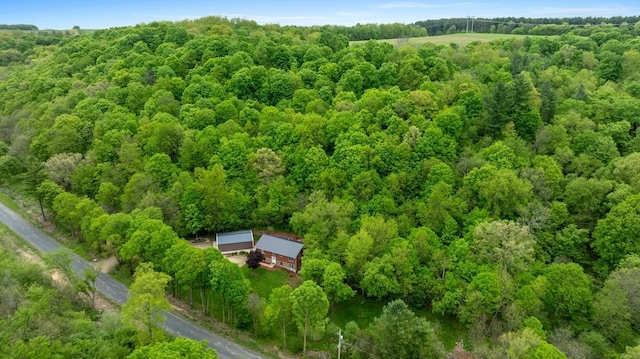 W1618 850th Ave, Spring Valley, WI 54767 - aerial view of property and surrounding area featuring a forest