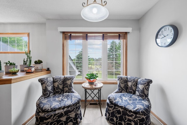 3062 196th Ave NE, East Bethel, MN 55011 - living area with plenty of natural light, light wood finished floors, baseboards, and a textured ceiling