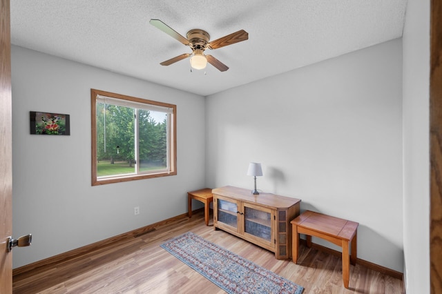3062 196th Ave NE, East Bethel, MN 55011 - living area featuring ceiling fan, wood finished floors, baseboards, and a textured ceiling