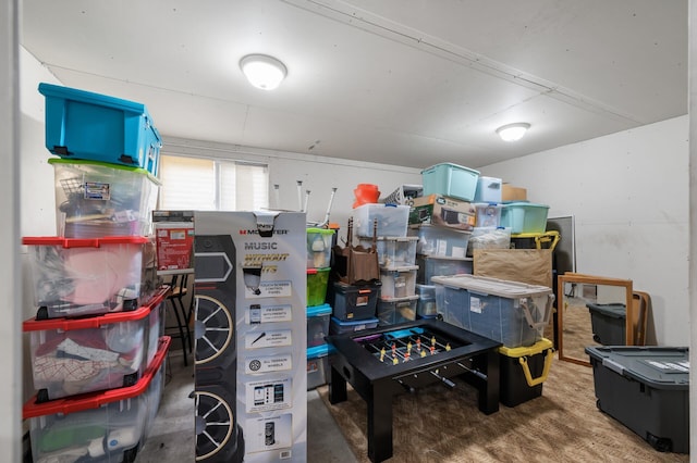 3062 196th Ave NE, East Bethel, MN 55011 - view of storage room