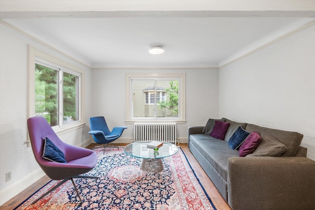 2708 Chowen Ave S, Minneapolis, MN 55416 - living room with radiator heating unit, wood finished floors, plenty of natural light, crown molding, and baseboards
