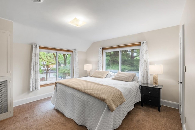 2708 Chowen Ave S, Minneapolis, MN 55416 - carpeted bedroom with baseboards, lofted ceiling, and multiple windows