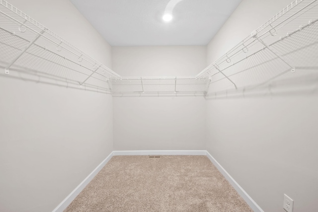 14520 109th Ave N, Maple Grove, MN 55369 - spacious closet with carpet