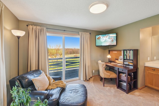 2929 170th St, Frederic, WI 54837 - office space featuring light carpet, a textured ceiling, and baseboards
