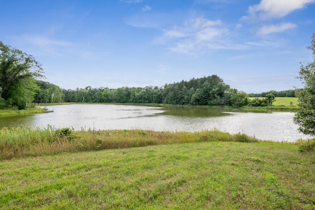 2929 170th St, Frederic, WI 54837 - water view with a forest