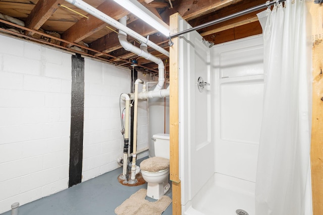 unfinished below grade area featuring concrete block wall