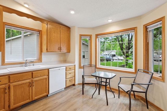934 105th Ave NW, Coon Rapids, MN 55433 - kitchen featuring white dishwasher, a sink, light wood finished floors, light countertops, and a textured ceiling