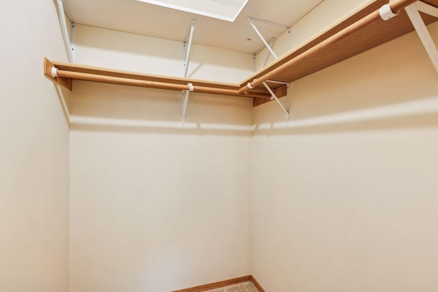 934 105th Ave NW, Coon Rapids, MN 55433 - view of spacious closet