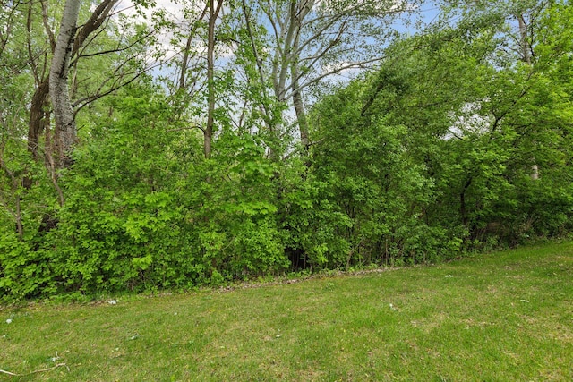 934 105th Ave NW, Coon Rapids, MN 55433 - view of grassy yard with a wooded view