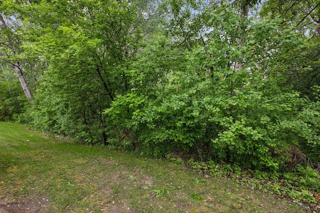 934 105th Ave NW, Coon Rapids, MN 55433 - view of woods