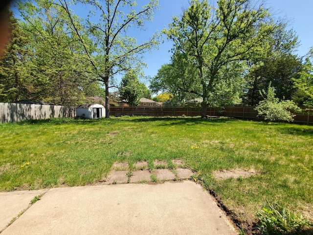 view of yard with a patio, a storage unit, and an outdoor structure