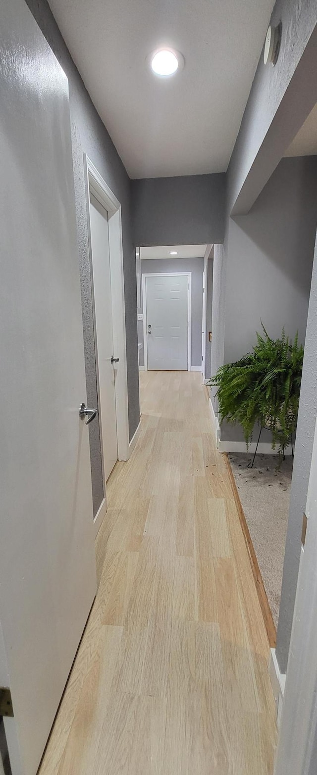 5252 Queen Ave N, Minneapolis, MN 55430 - corridor featuring light wood finished floors