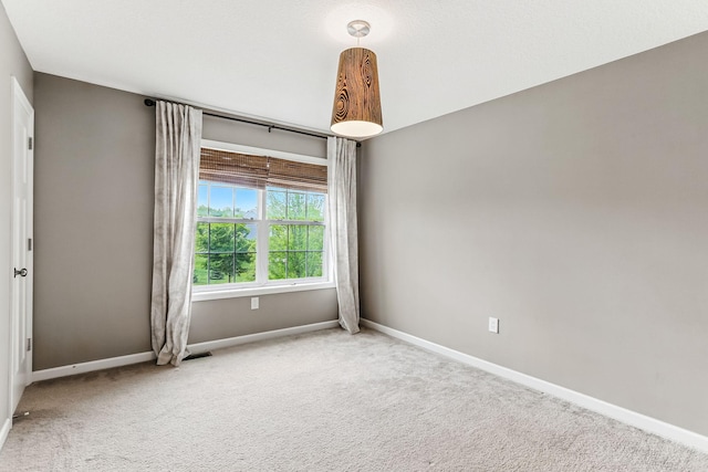 11632 Riverstone Trl, Woodbury, MN 55129 - carpeted empty room with baseboards