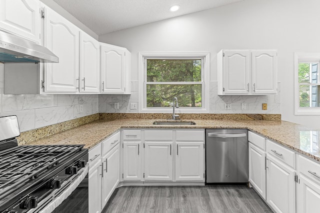 500 Ridge Ln, Chaska, MN 55318 - kitchen featuring appliances with stainless steel finishes, a sink, exhaust hood, light stone counters, and vaulted ceiling