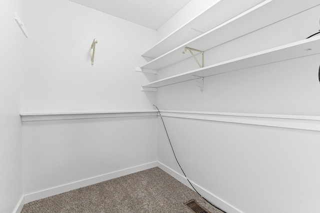 500 Ridge Ln, Chaska, MN 55318 - walk in closet featuring carpet