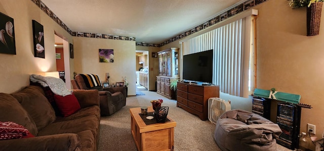 503 5th St SE, Staples, MN 56479 - view of carpeted living room
