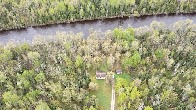 1529 Riddell Rd, Field Twp, MN 55723 - view of property location featuring a large body of water and a forest