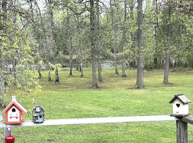 1529 Riddell Rd, Field Twp, MN 55723 - view of green lawn