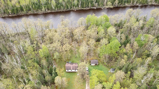 1529 Riddell Rd, Field Twp, MN 55723 - view from above of property featuring a forest and a nearby body of water