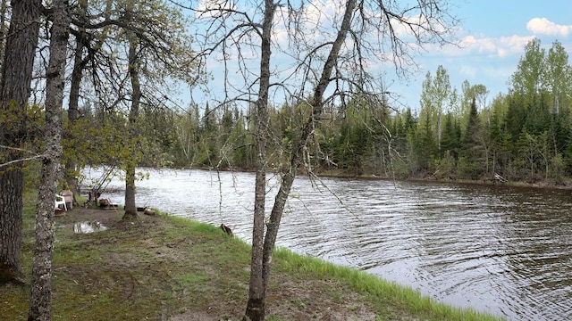 1529 Riddell Rd, Field Twp, MN 55723 - water view featuring a forest