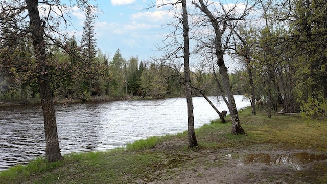 1529 Riddell Rd, Field Twp, MN 55723 - water view with a heavily wooded area