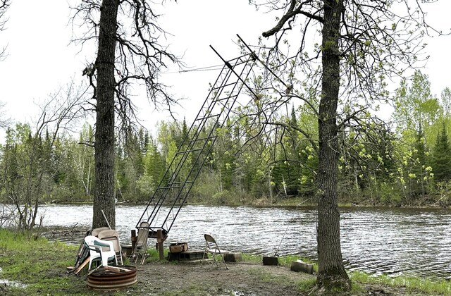 1529 Riddell Rd, Field Twp, MN 55723 - water view with a forest