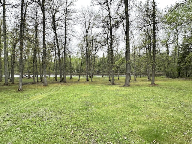 1529 Riddell Rd, Field Twp, MN 55723 - view of grassy yard