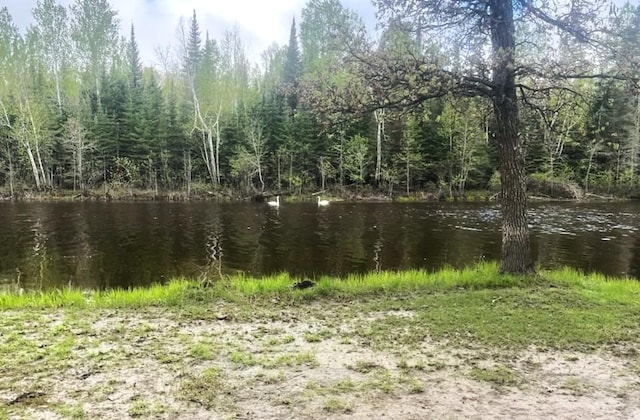 1529 Riddell Rd, Field Twp, MN 55723 - water view featuring a forest