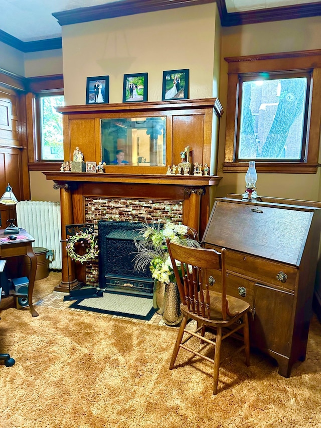 573 Rowland St, Tracy, MN 56175 - living area featuring radiator, crown molding, and carpet floors