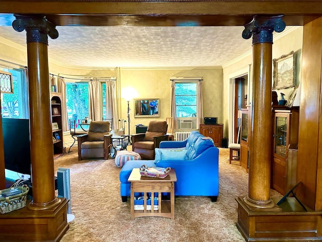 573 Rowland St, Tracy, MN 56175 - living area with decorative columns, carpet flooring, and crown molding
