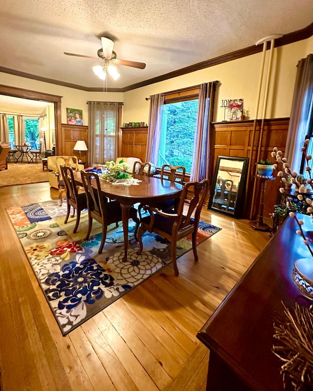 573 Rowland St, Tracy, MN 56175 - dining room featuring light wood-type flooring, a textured ceiling, healthy amount of natural light, a ceiling fan, and ornamental molding