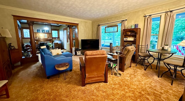 573 Rowland St, Tracy, MN 56175 - living area with carpet floors and ornamental molding