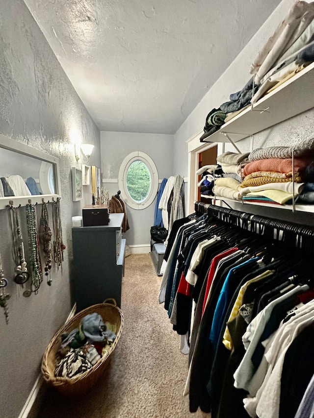 573 Rowland St, Tracy, MN 56175 - walk in closet featuring carpet flooring