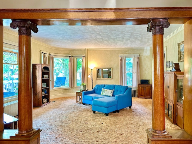 573 Rowland St, Tracy, MN 56175 - carpeted living area featuring decorative columns, ornamental molding, radiator, and baseboards