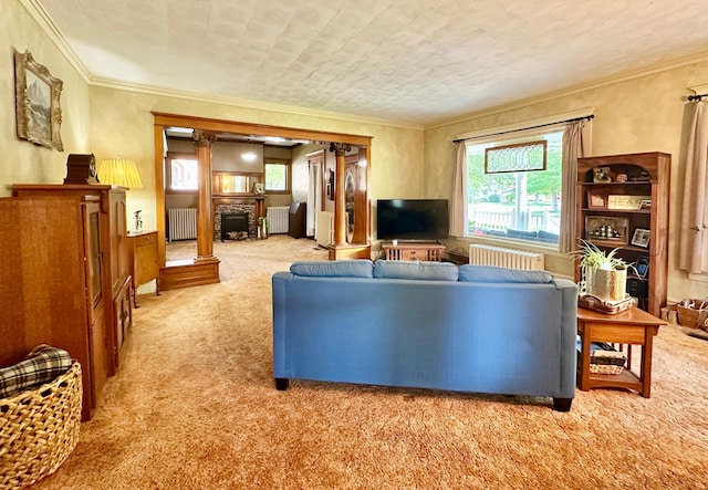 573 Rowland St, Tracy, MN 56175 - carpeted living area featuring radiator heating unit, a fireplace, and ornamental molding