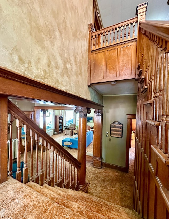 573 Rowland St, Tracy, MN 56175 - stairway with a high ceiling, carpet flooring, and baseboards