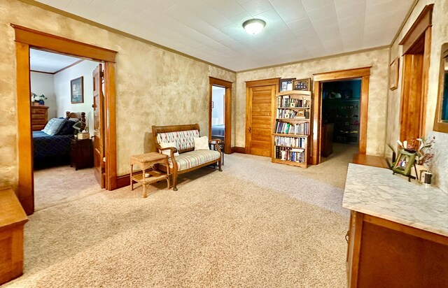 573 Rowland St, Tracy, MN 56175 - living area featuring crown molding and carpet flooring
