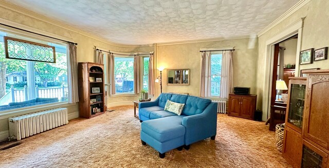 573 Rowland St, Tracy, MN 56175 - living room with radiator, plenty of natural light, carpet floors, and ornamental molding