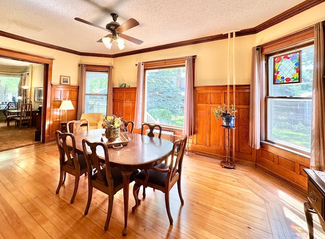 573 Rowland St, Tracy, MN 56175 - dining space featuring a textured ceiling, light wood-style floors, healthy amount of natural light, a wainscoted wall, and a ceiling fan