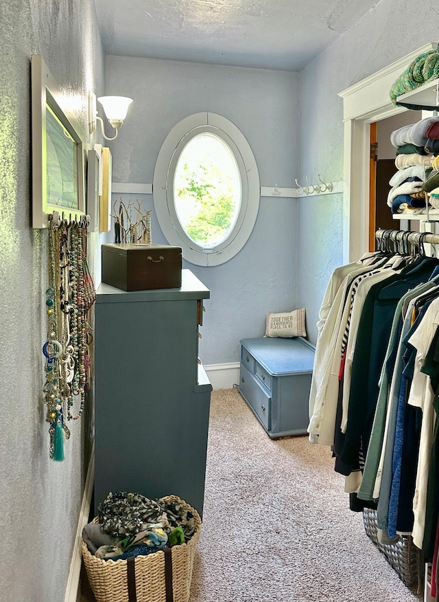 573 Rowland St, Tracy, MN 56175 - walk in closet with carpet