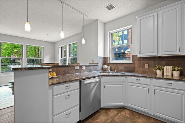 500 2nd St Unit 116, Minneapolis, MN 55401 - kitchen with dishwasher, a sink, a peninsula, healthy amount of natural light, and a textured ceiling