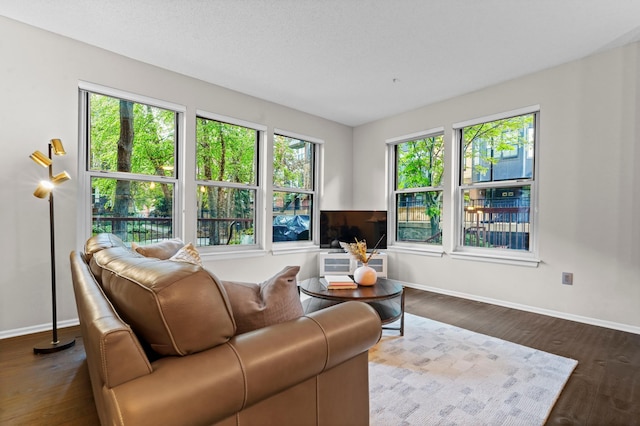 500 2nd St Unit 116, Minneapolis, MN 55401 - living room featuring baseboards and dark wood finished floors