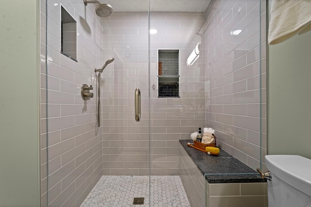 500 2nd St Unit 116, Minneapolis, MN 55401 - bathroom with a shower stall and toilet