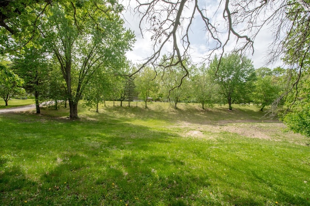 19715 Tyler St NW, Elk River, MN 55330 - view of grassy yard