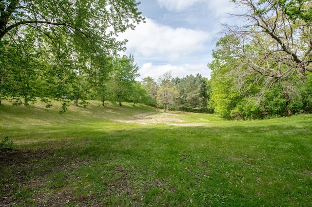 19715 Tyler St NW, Elk River, MN 55330 - view of grassy yard
