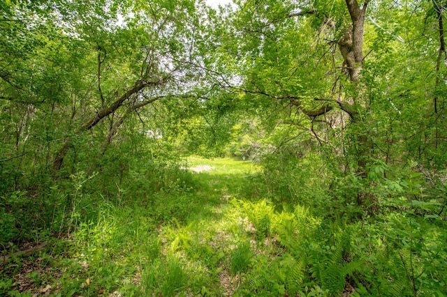 19715 Tyler St NW, Elk River, MN 55330 - view of wooded area