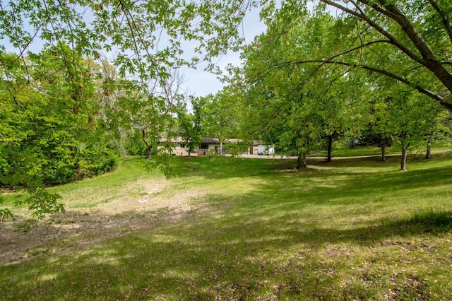 19715 Tyler St NW, Elk River, MN 55330 - view of grassy yard